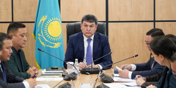 ТҮРКІСТАНДА ЖӘРДЕМАҚЫҒА ТӘУЕЛДІЛІКТІ АЗАЙТУҒА БАҒЫТТАЛҒАН ЖҮЙЕЛІ ШАРАЛАР ҚАРАЛДЫ