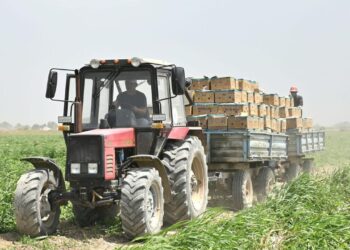 АЛМАТЫ ЖӘНЕ АҚТӨБЕ ОБЛЫСТАРЫНДА ФЕРМЕРЛІК ДАЛАЛЫҚ МЕКТЕПТЕР АШЫЛАДЫ
