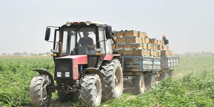 АЛМАТЫ ЖӘНЕ АҚТӨБЕ ОБЛЫСТАРЫНДА ФЕРМЕРЛІК ДАЛАЛЫҚ МЕКТЕПТЕР АШЫЛАДЫ