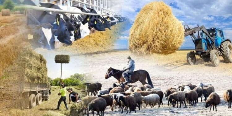 СОЗАҚТА АУЫЛ ШАРУАШЫЛЫҒЫ ҚАРҚЫНДЫ ДАМЫП КЕЛЕДІ