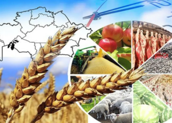 СОЗАҚТЫҢ АГРОӨНЕРКӘСІП САЛАСЫНДАҒЫ ЖАҢА КӨРСЕТКІШТЕР