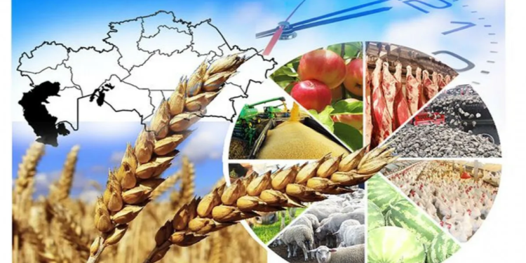 СОЗАҚТЫҢ АГРОӨНЕРКӘСІП САЛАСЫНДАҒЫ ЖАҢА КӨРСЕТКІШТЕР
