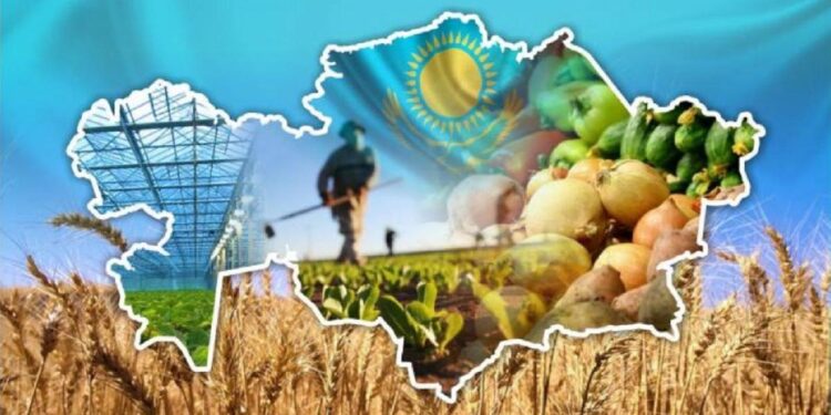 СОЗАҚТАҒЫ АУЫЛ ШАРУАШЫЛЫҒЫНЫҢ ДАМУ БАҒЫТЫ