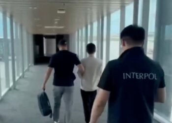 АНАCЫН ПЫШАҚТАҒАН КҮДІКТІ ВЬЕТНАМНАН ҚАЗАҚСТАНҒА ӘКЕЛІНДІ
